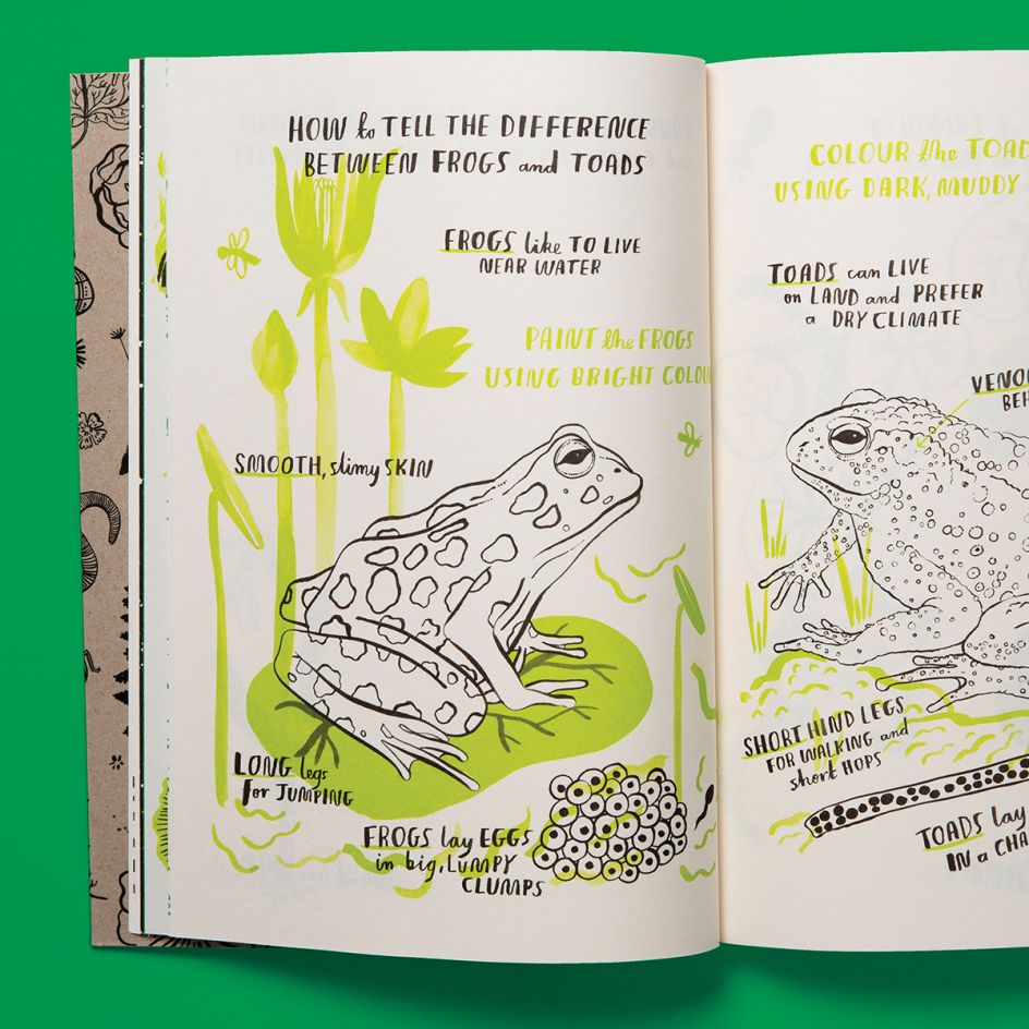 Books Professional – Nina Chakrabarti