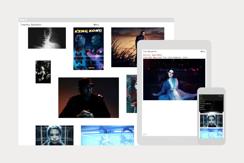 Timothy Saccenti website