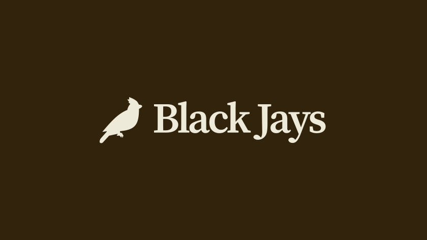 Hex's new identity for Black Jays is inspired by the 'subtle chaos' of family life