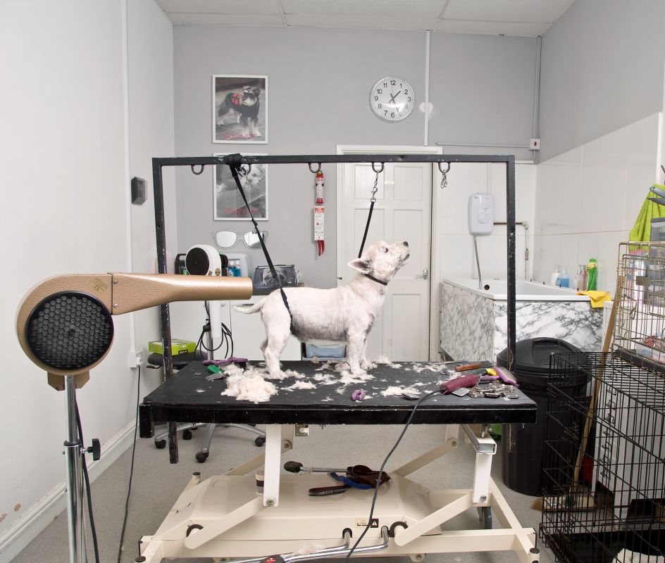 Dog grooming Parlour, Tredegar. © Sebastian Bruno