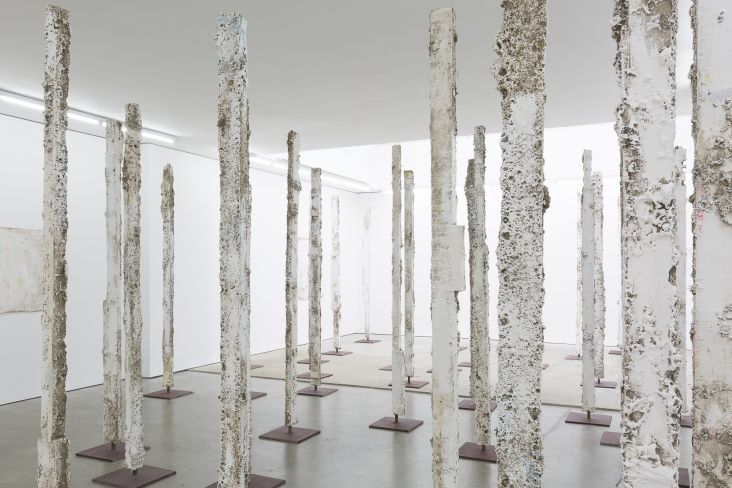 Jodie Carey, Earthcasts, 2017 © Jodie Carey, courtesy Edel Assanti