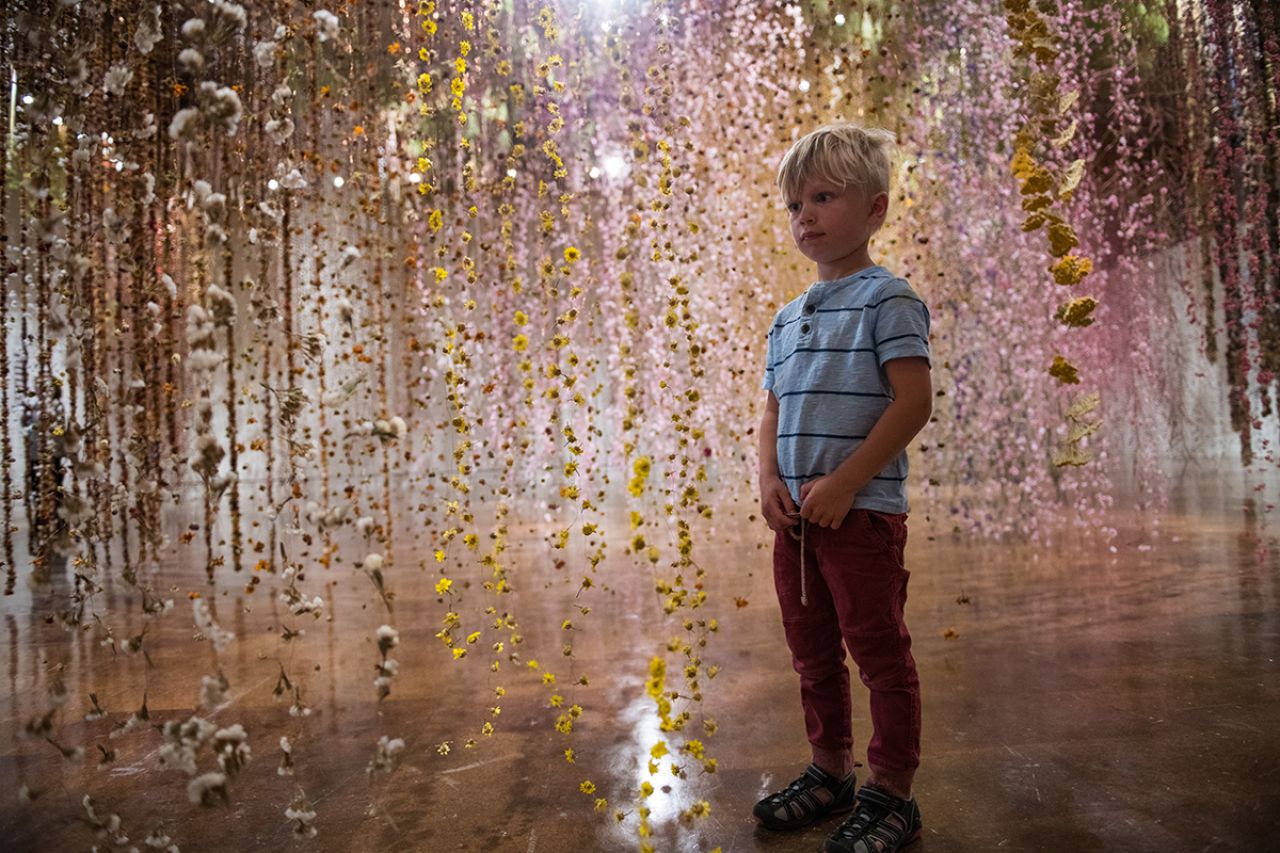 Image courtesy of Rebecca Louise Law