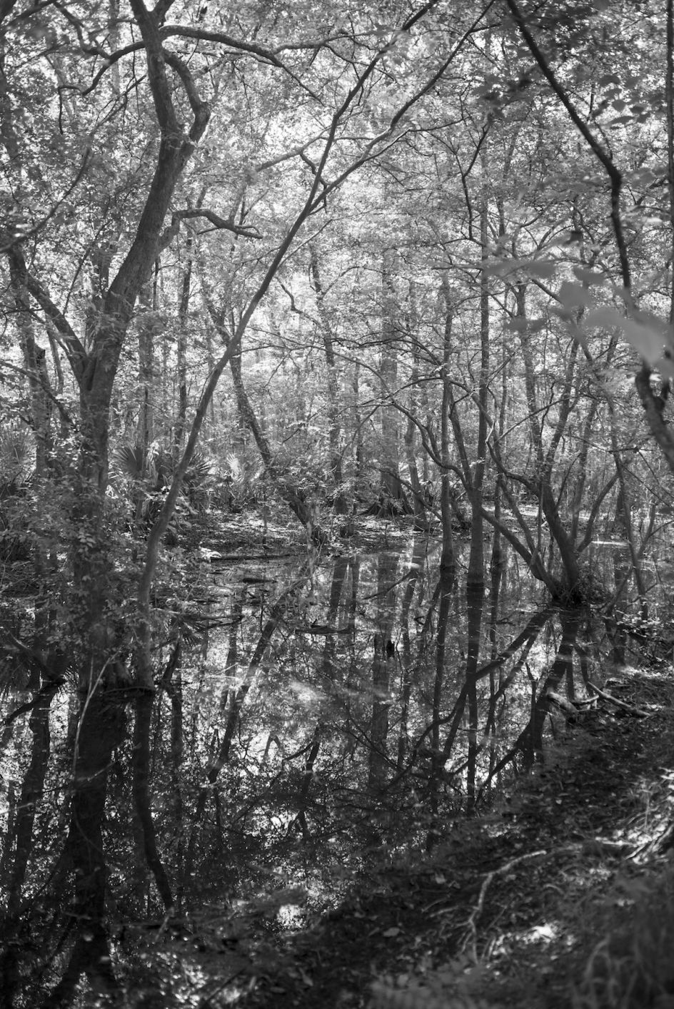 Elle Pérez, Sanctuary, 2020/2021