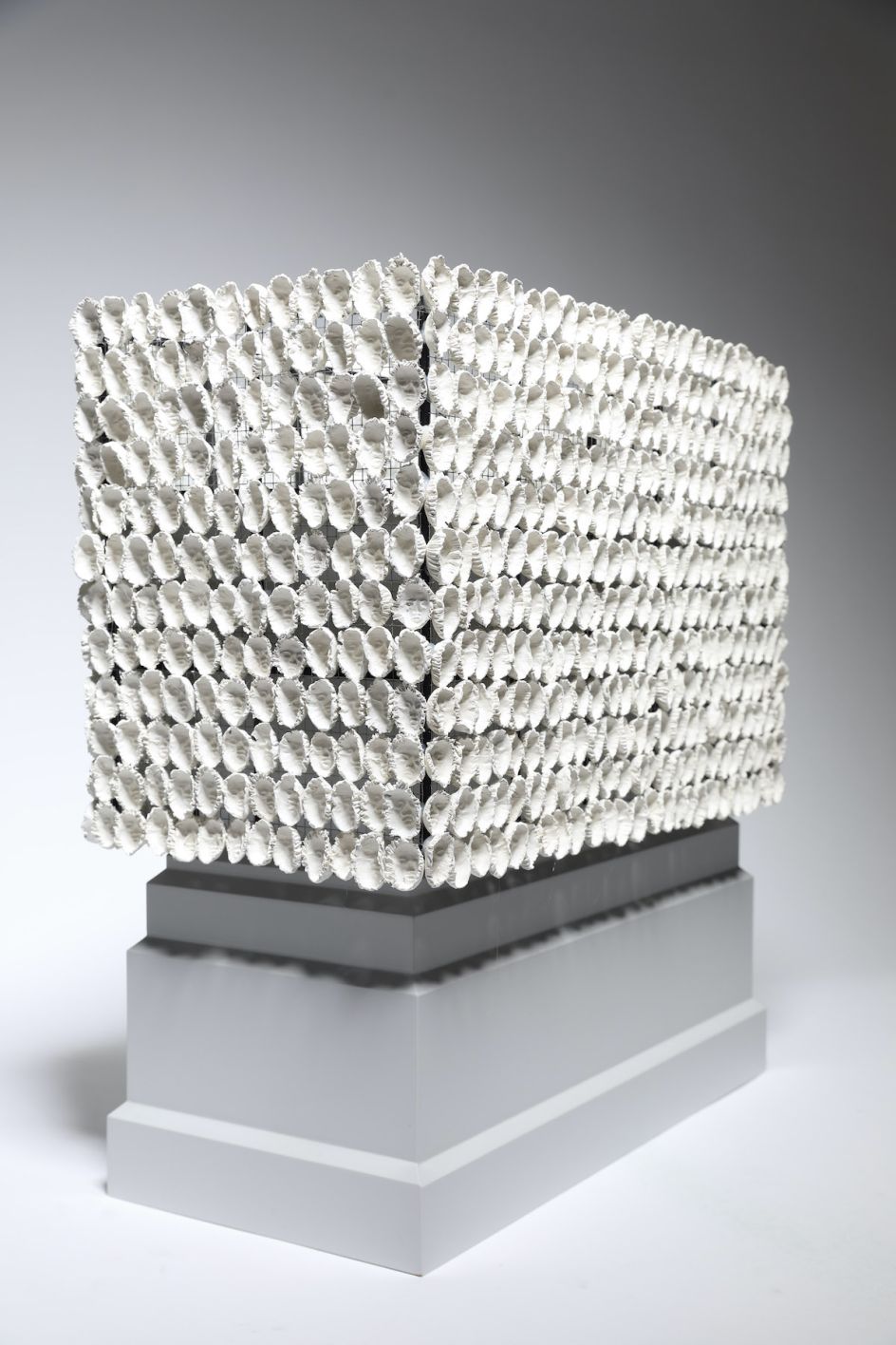 Teresa Margolles c. James O Jenkins