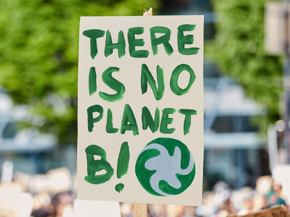 Transatlantika creates a new logo for the 'Fridays For Future'