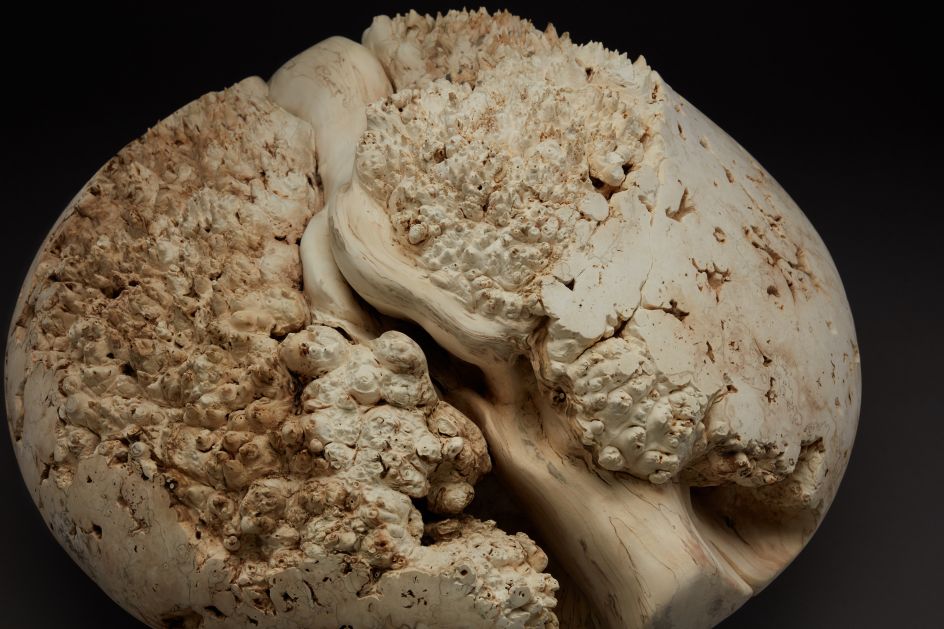 © Eleanor Lakelin. Image credit: Jeremy Johns