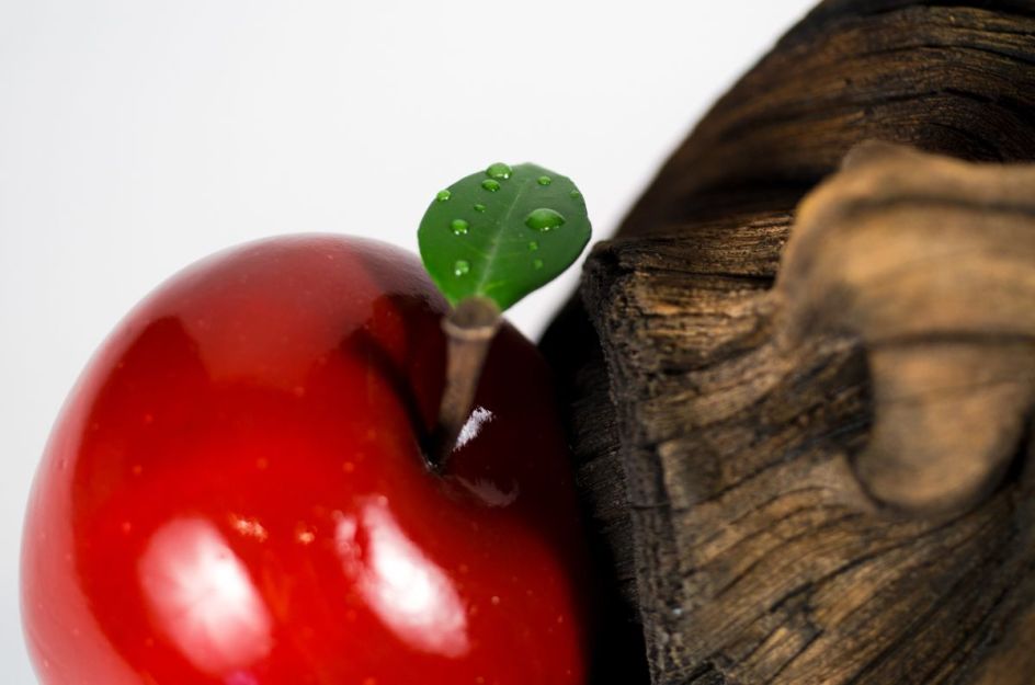 An Apple a Day | Christopher David White