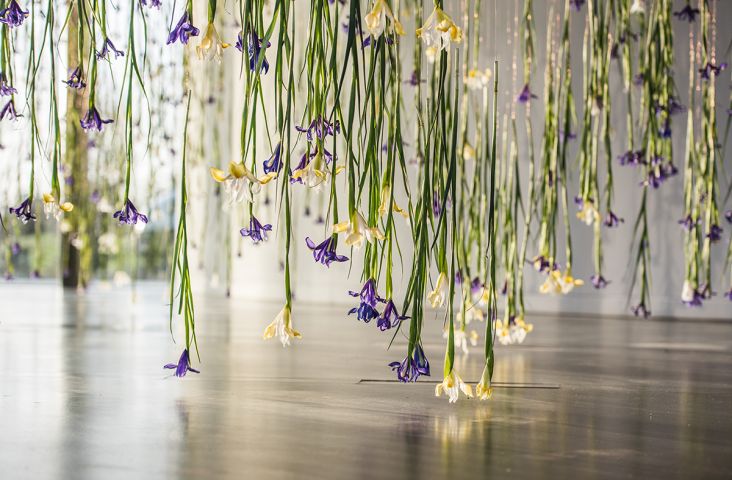 Photography @ Charles Emerson