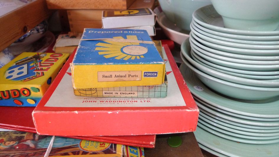 Paul Tarragó, Badger series, 2017 (c) the artist, courtesy Tintype