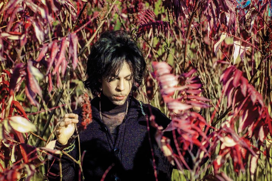 Unttled, Paisley Park Studios, 1999  © Steven Parke