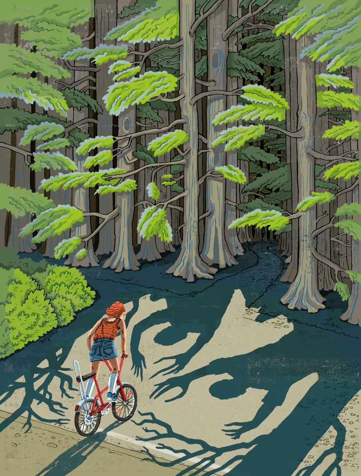 The Observer Magazine: Book Review