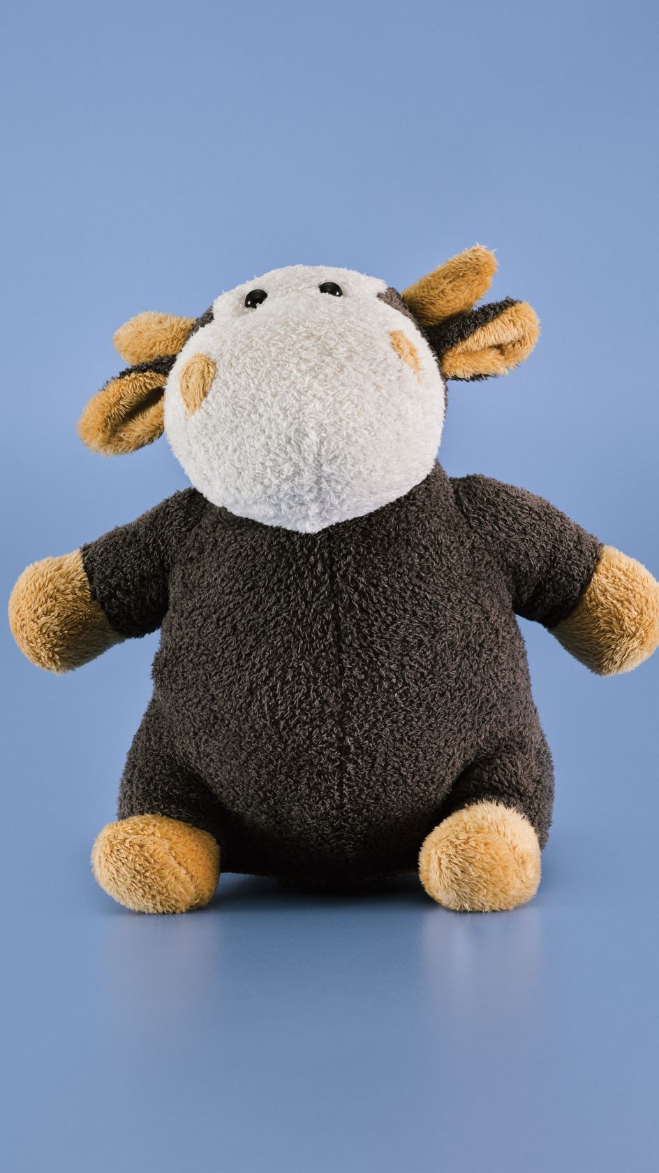 Transitions is limited to 1,000 copies