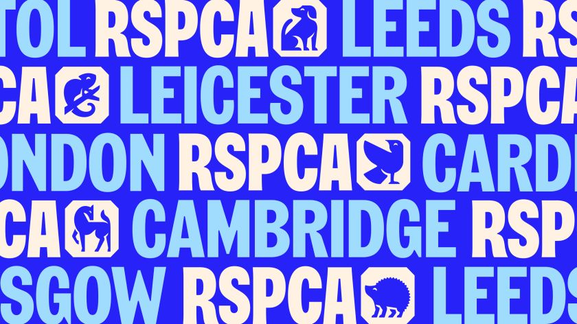 JKR overhauls RSPCA’s identity to align with its newly defined purpose
