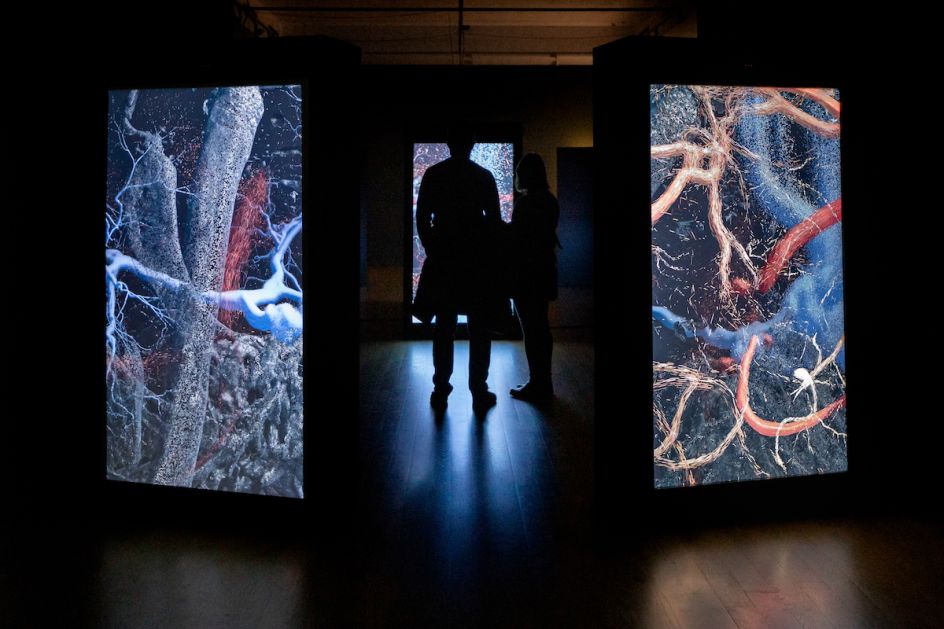 Marshmallow Laser Feast credit Sandra Ciampone