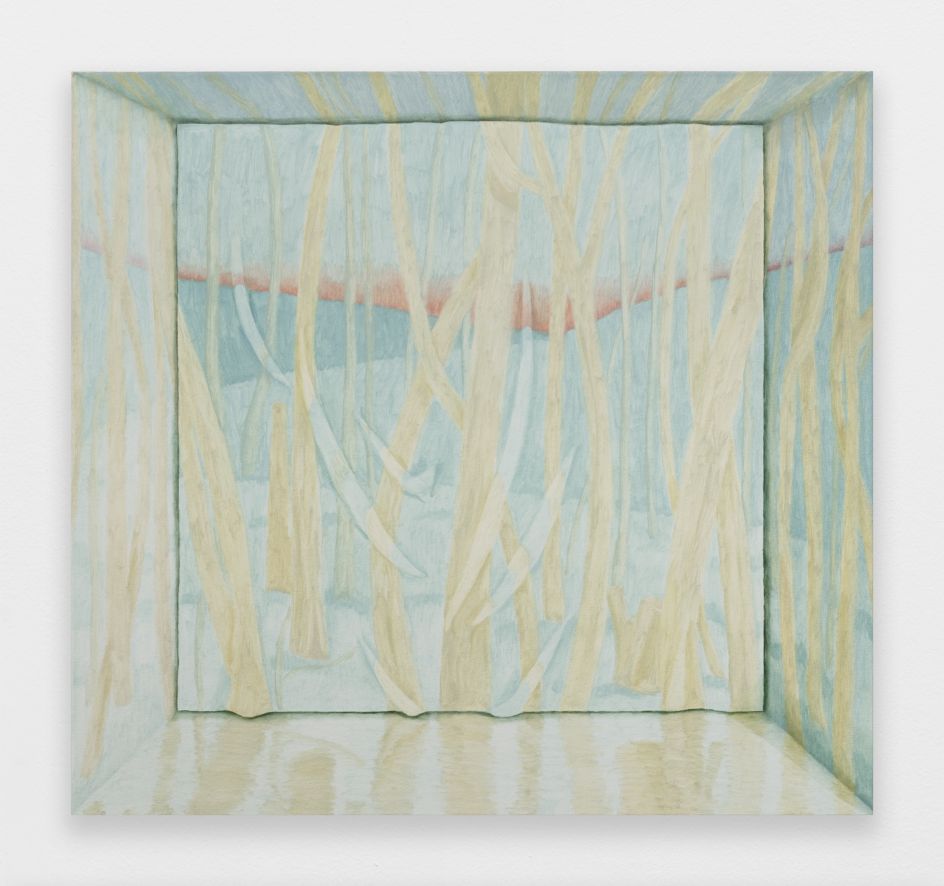 © Anne Carney Raines