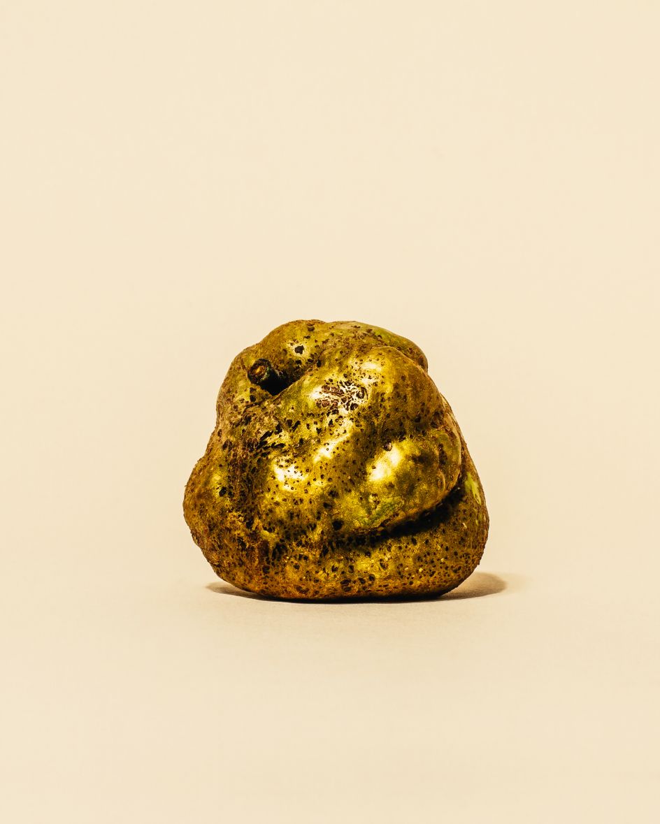 Knobbed Russet © 2021 William Mullan