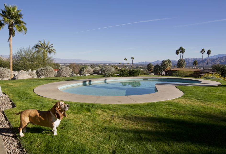 Cooper, Bassett Hound, Home Built in 1946, Extensively Modeled 2013-2016 © Nancy Baron