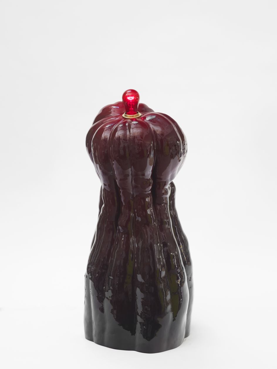 All images courtesy of the artist and Friedman Benda