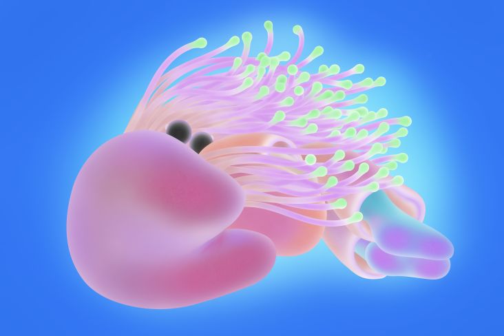 Symbiotic Relationship