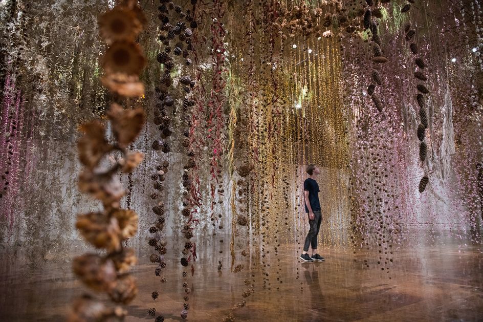Image courtesy of Rebecca Louise Law
