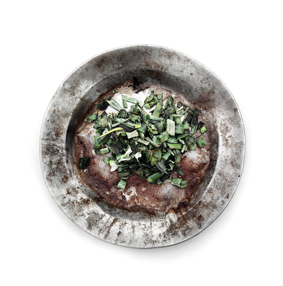 Chis de Bode/ British Red Cross