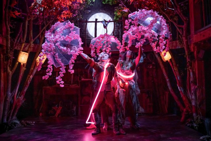 يوآف سيغال ينسج عوالم سحرية على المسرح  
مصدر إلهام لكل مبدع عابر للتخصصات