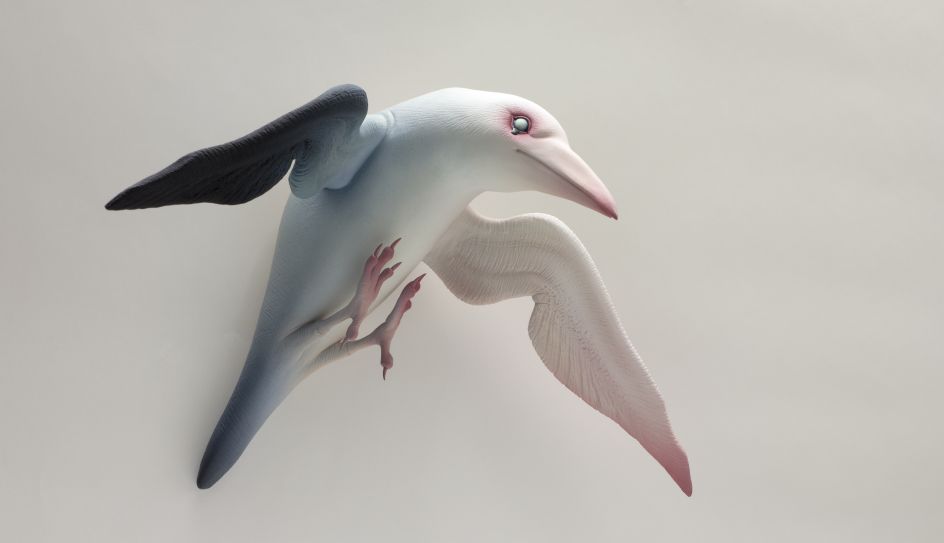 Cursed Raven Ceramic, cold finish 12