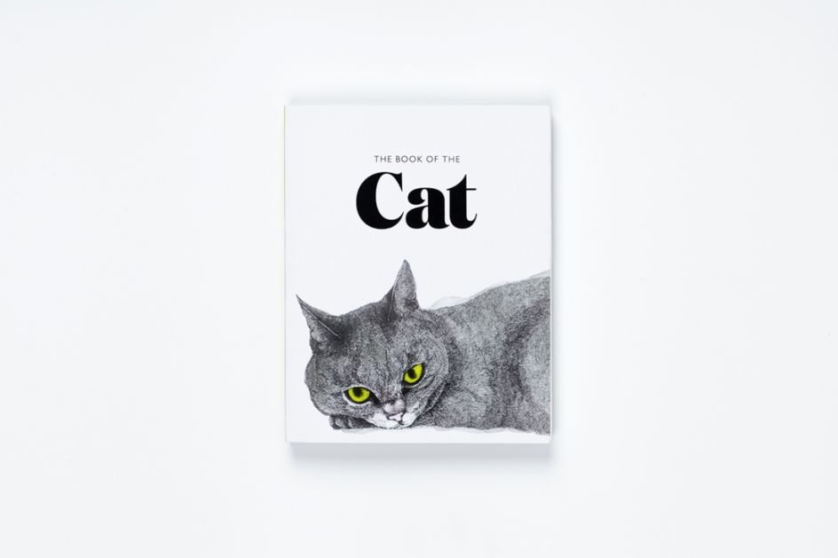 Domaine Display in action with [The Book of the Cat](https://www.creativeboom.com/features/the-book-of-the-cat-features-feline-art-and-illustration-by-artists-from-around-the-world-/)