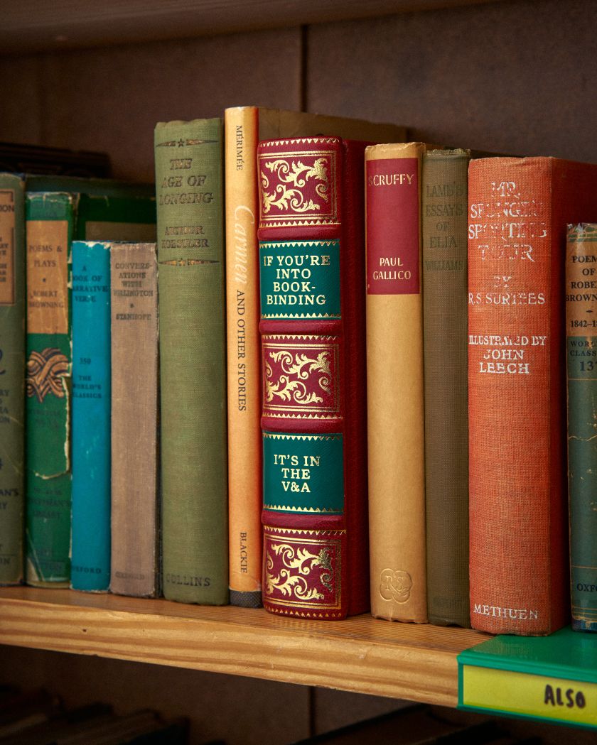 adam&eveDDB campaign highlights how the V&A has something for everyone