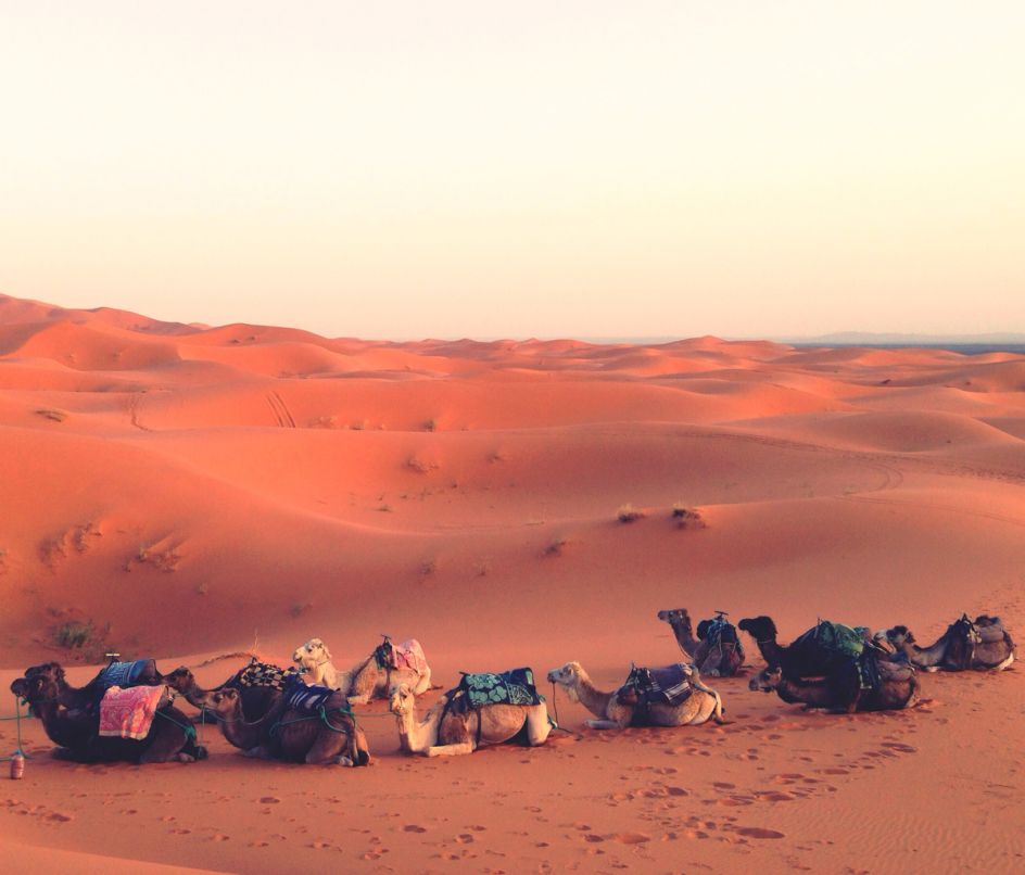 Image courtesy of [Adobe Stock](https://stock.adobe.com/uk/)