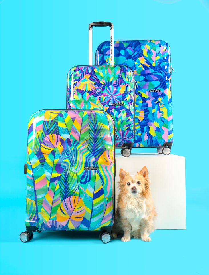 All images courtesy of Shanti Sparrow. Photographer: Connor Callahan