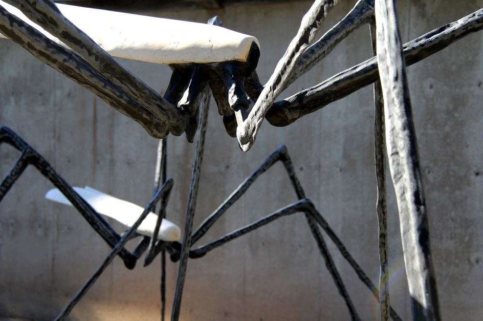 Vanessa Paschakarnis, Craneflies, 2015. Photo © James Brittain