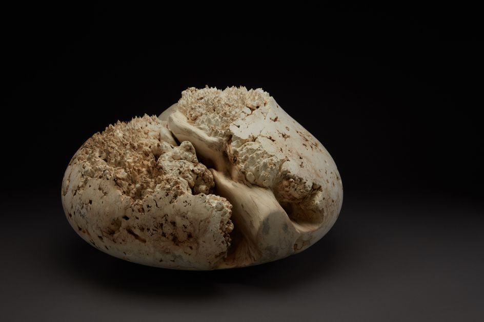 © Eleanor Lakelin. Image credit: Jeremy Johns