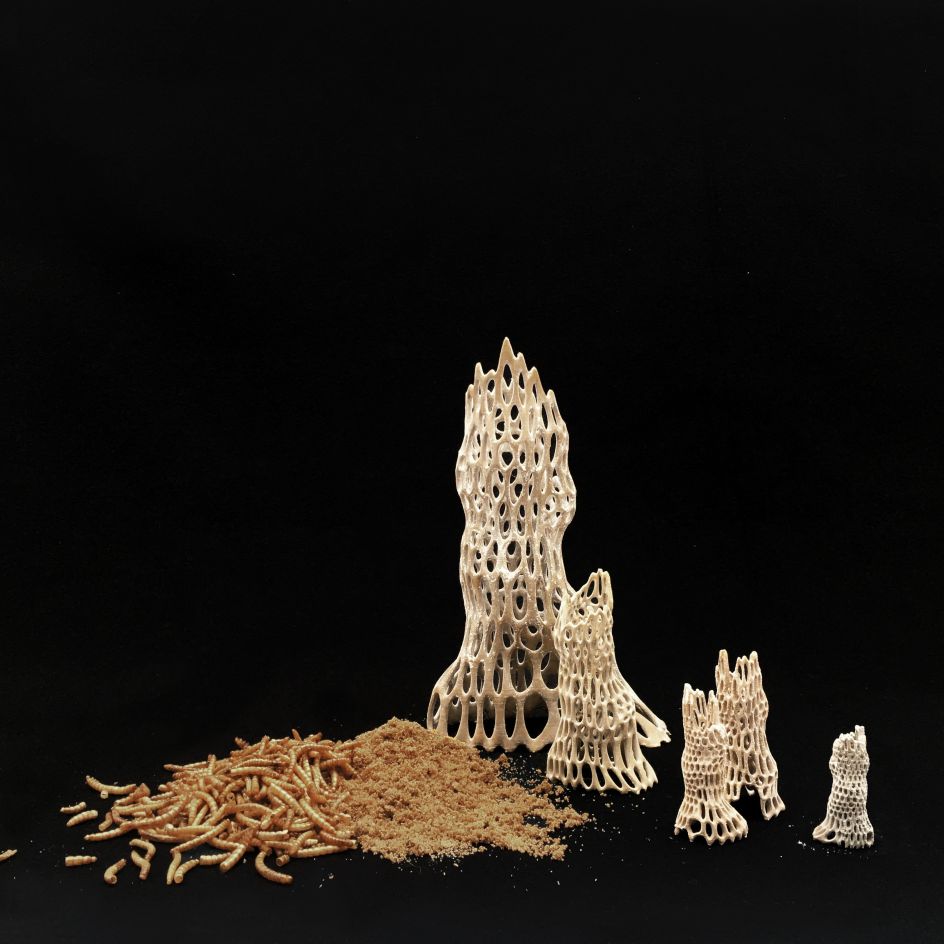 Insect Pasta by Chloe Kang, MA Industrial Design (Central Saint Martins)