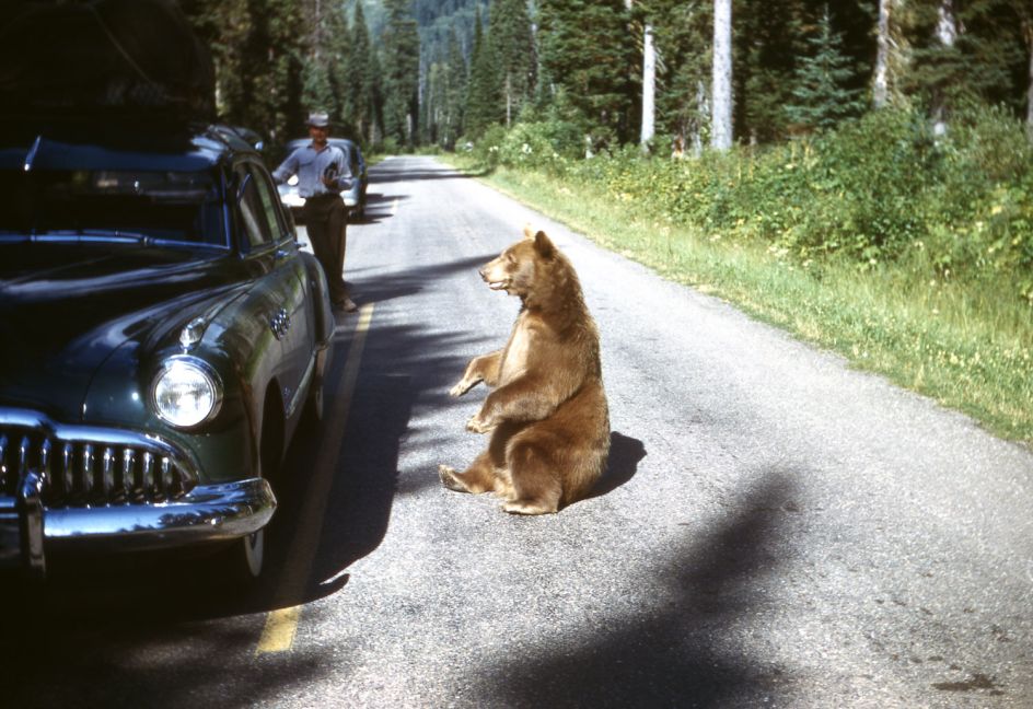 On the Road compiled by Lee Shulman, founder of The Anonymous Project, is published by Hoxton Mini Press