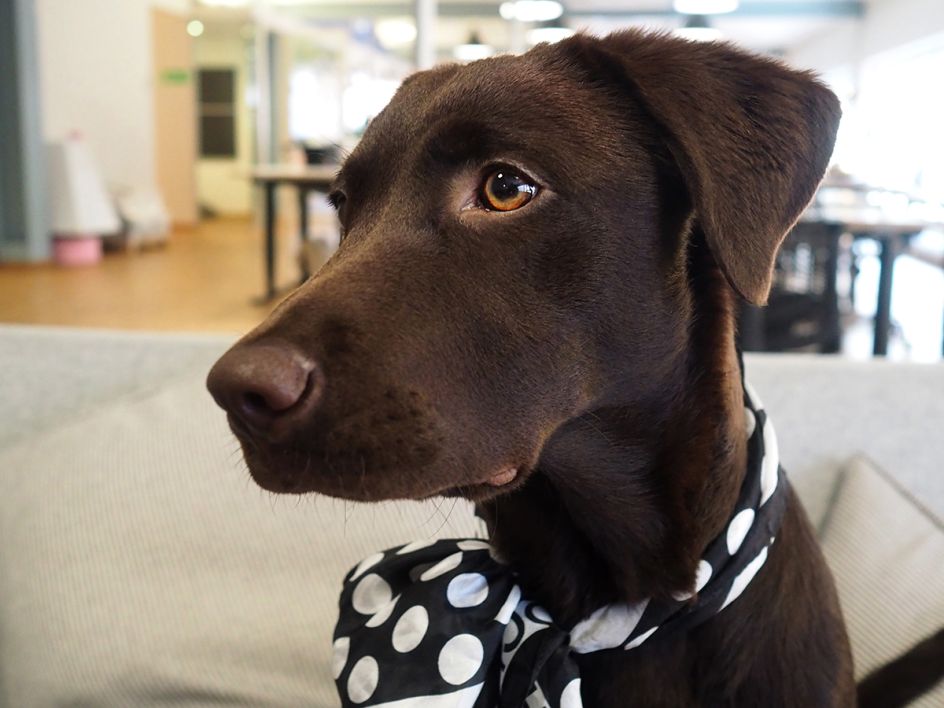 Selma at Edelman Deportivo