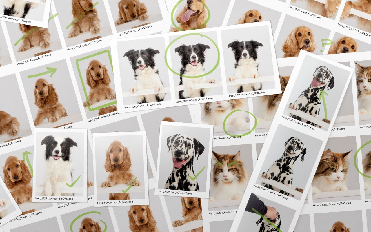 Credit: Robot Food / Harringtons