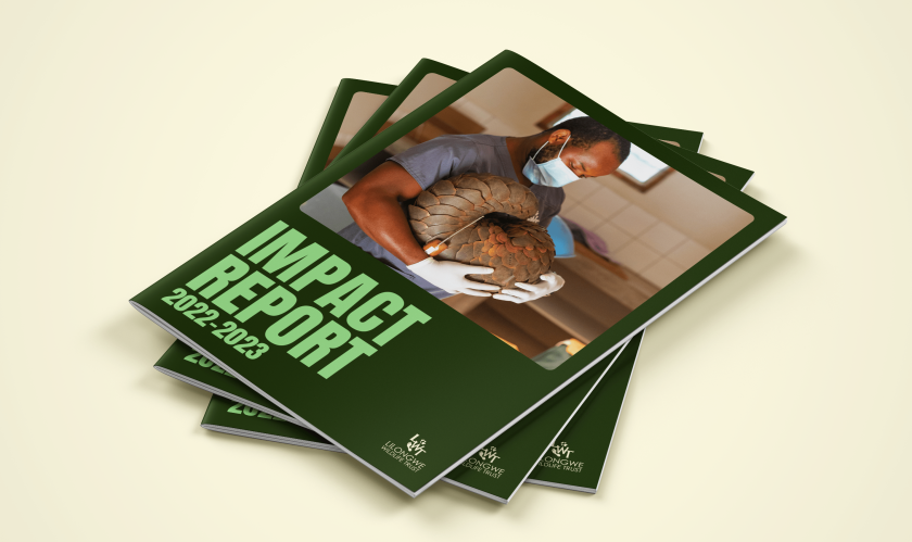 Securing a future for Malawi's wildlife at the heart of brand and website refresh