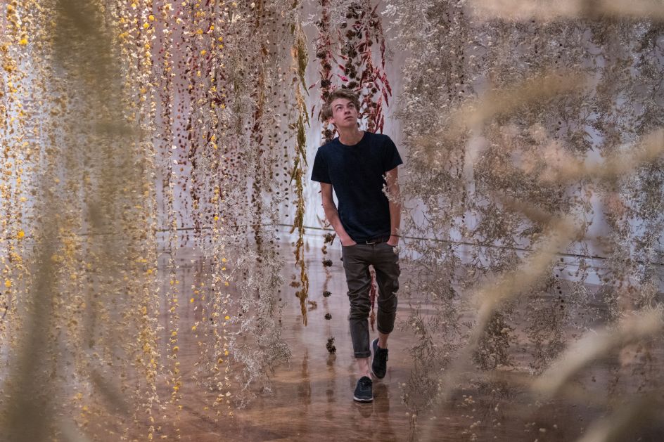 Image courtesy of Rebecca Louise Law