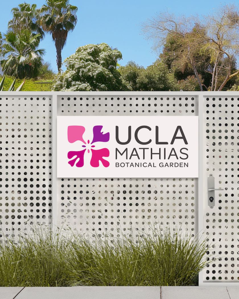 Native California flower informs UCLA Mathias Botanical Garden identity