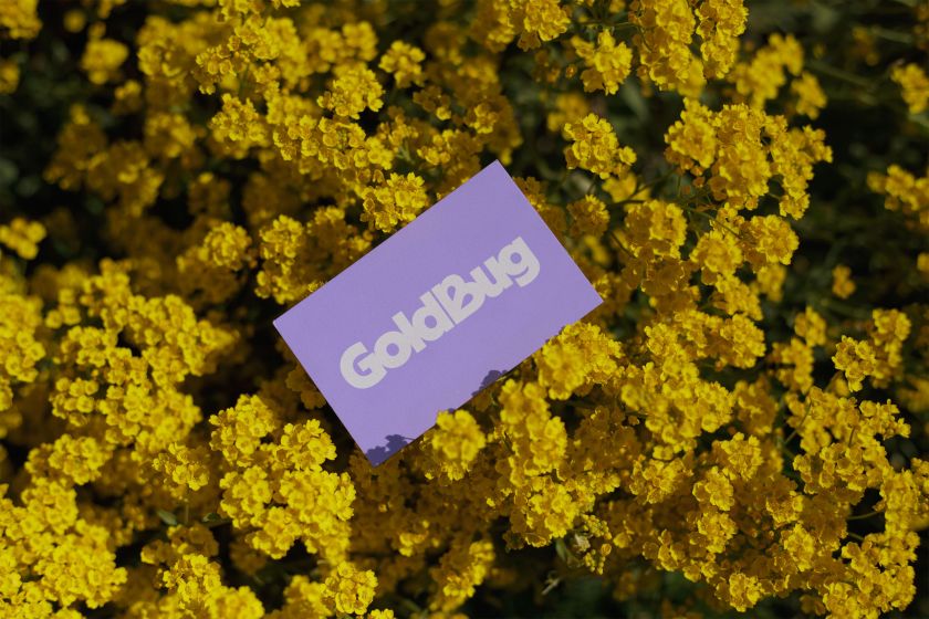 Scorpion Rose Studio rebrands kids' accessories brand Goldbug with nuanced nostalgia