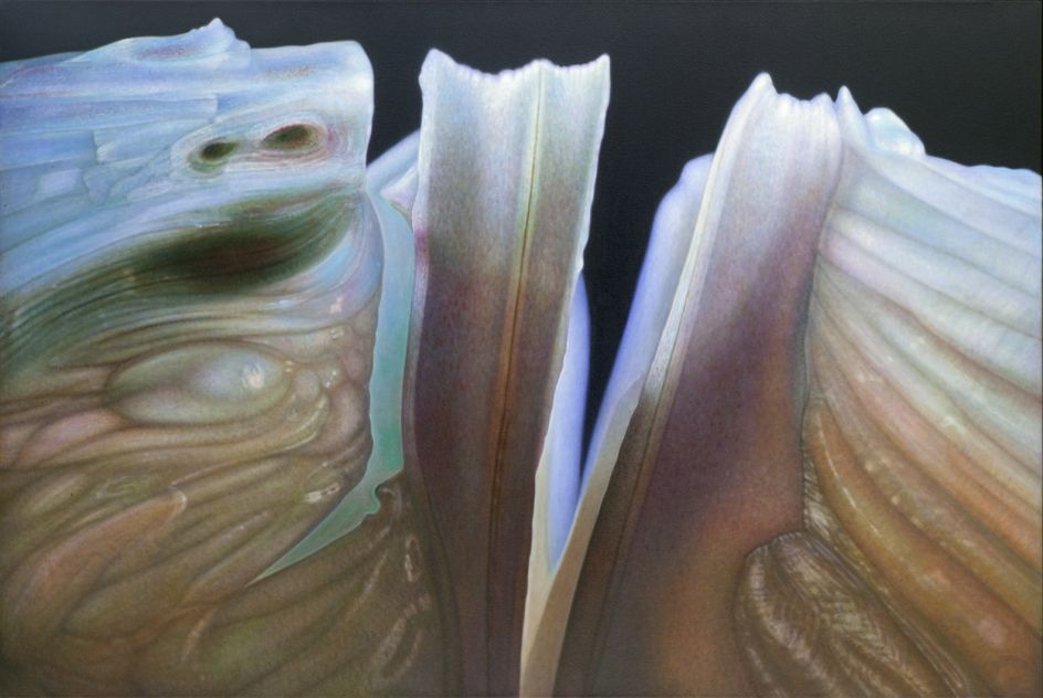 © Dennis Wojtkiewicz