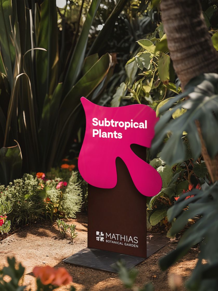 Native California flower informs UCLA Mathias Botanical Garden identity