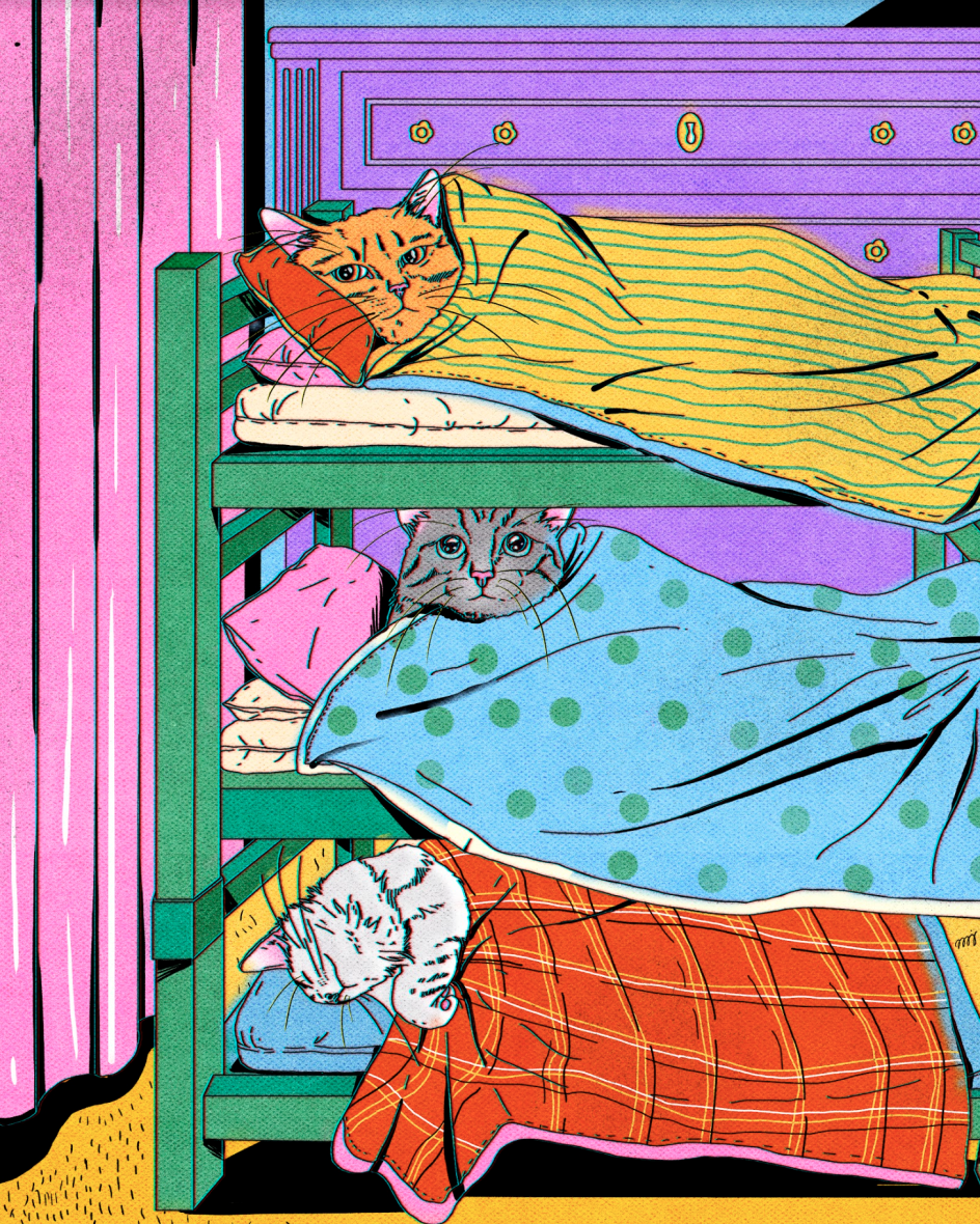 © María Jesús Contreras