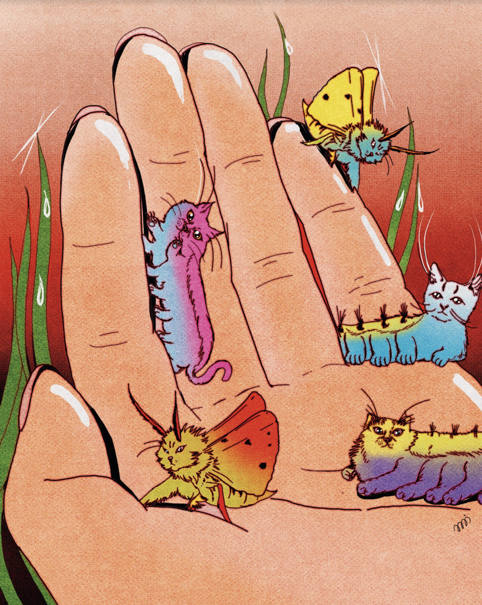 © María Jesús Contreras