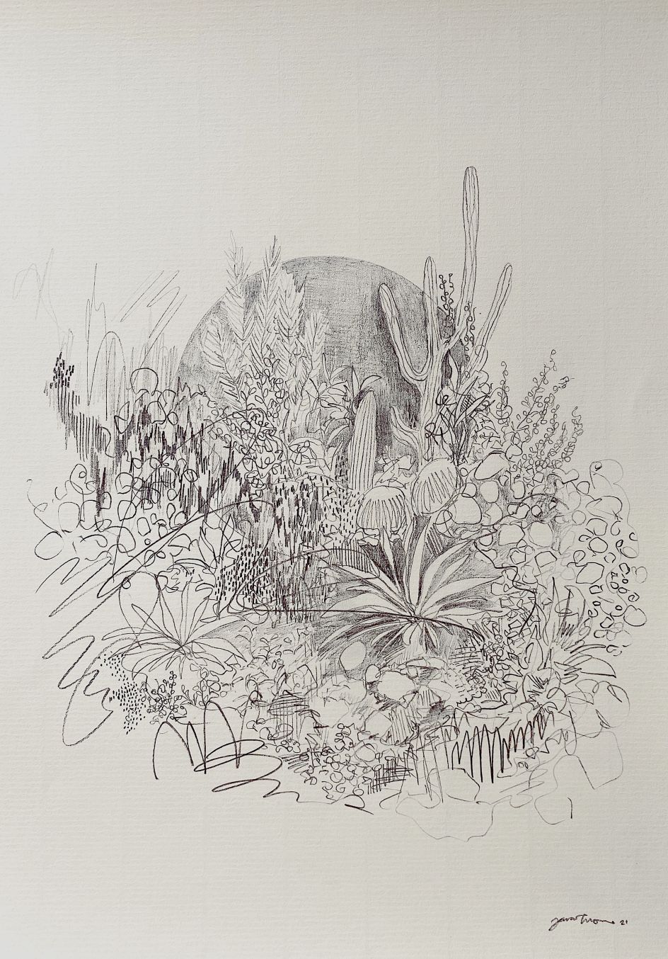 From the series, Wilt, Fall, Root, Grow © Zara Tisma