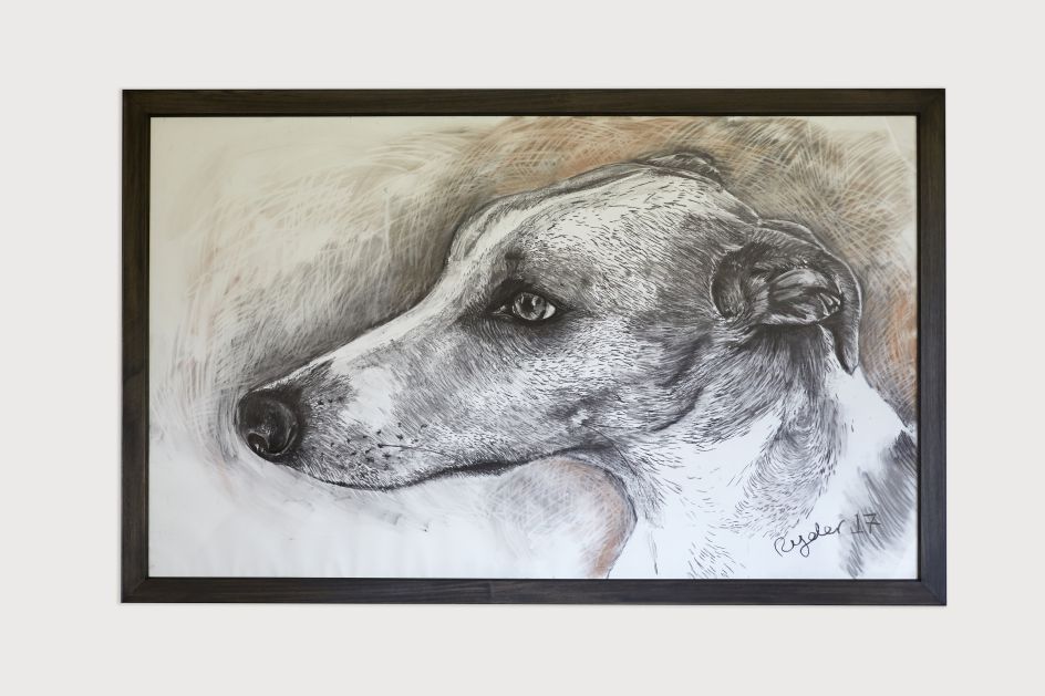 Luigi Head,165.5 X 255cm, photo by Tania Dolvers, courtesy of Hignell Gallery