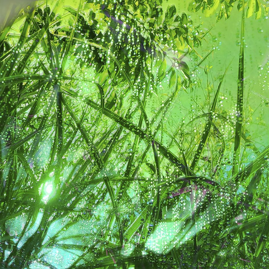 Untitled 12 from Heterotopia © Karine Laval