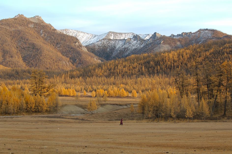 Gold and Silk Embroidery, Mongolia, 2007 © Marc Progin. Courtesy of Blue Lotus Gallery