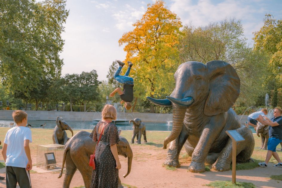 From the book and series, Brilliant Parade © Josh Edgoose